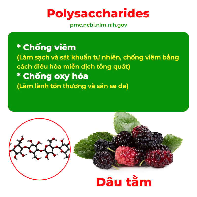 Thành phần hoá học dung dịch vệ sinh 