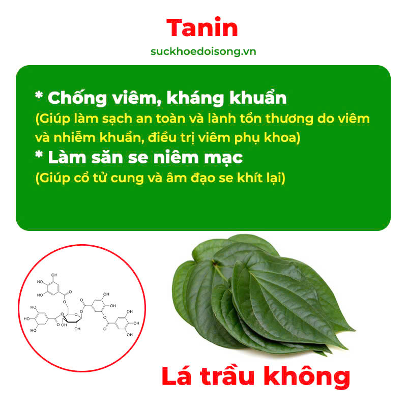 Thành phần hoá học dung dịch vệ sinh 