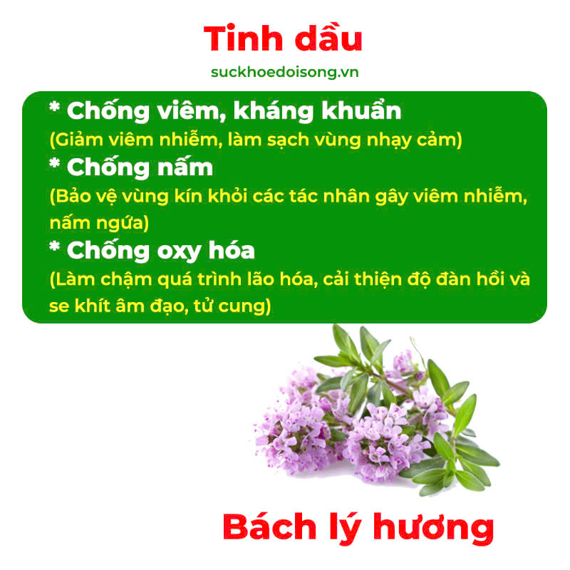 Thành phần hoá học dung dịch vệ sinh 