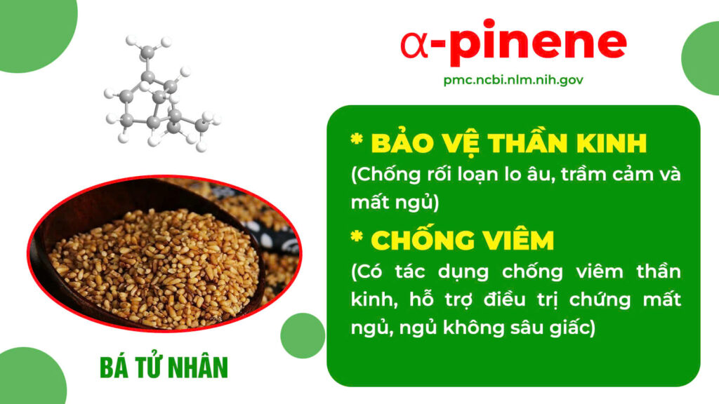 Thành phần hoá học dướng tâm