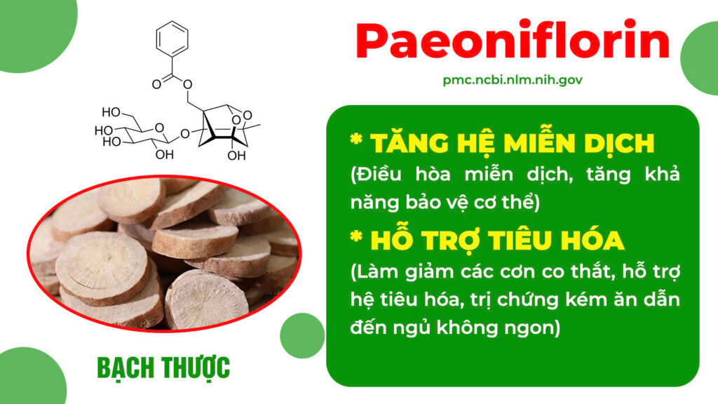 Thành phần hoá học dướng tâm