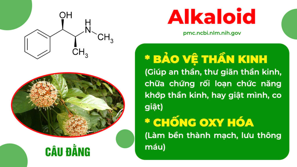 Thành phần hoá học dướng tâm