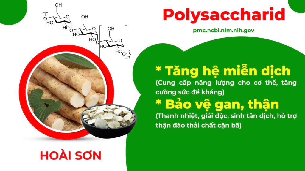 Thành phần hoá học ôn thận 