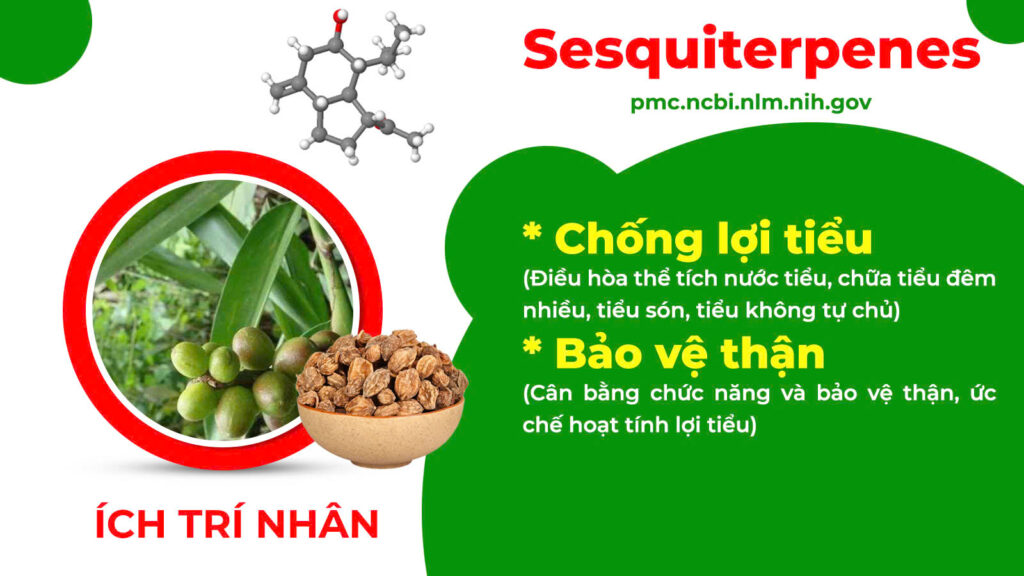 Thành phần hoá học ôn thận 