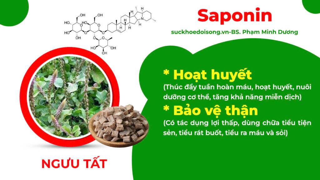 Thành phần hoá học ôn thận 