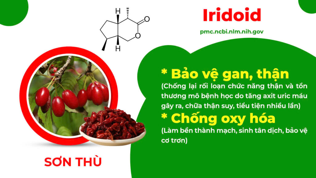 Thành phần hoá học ôn thận 