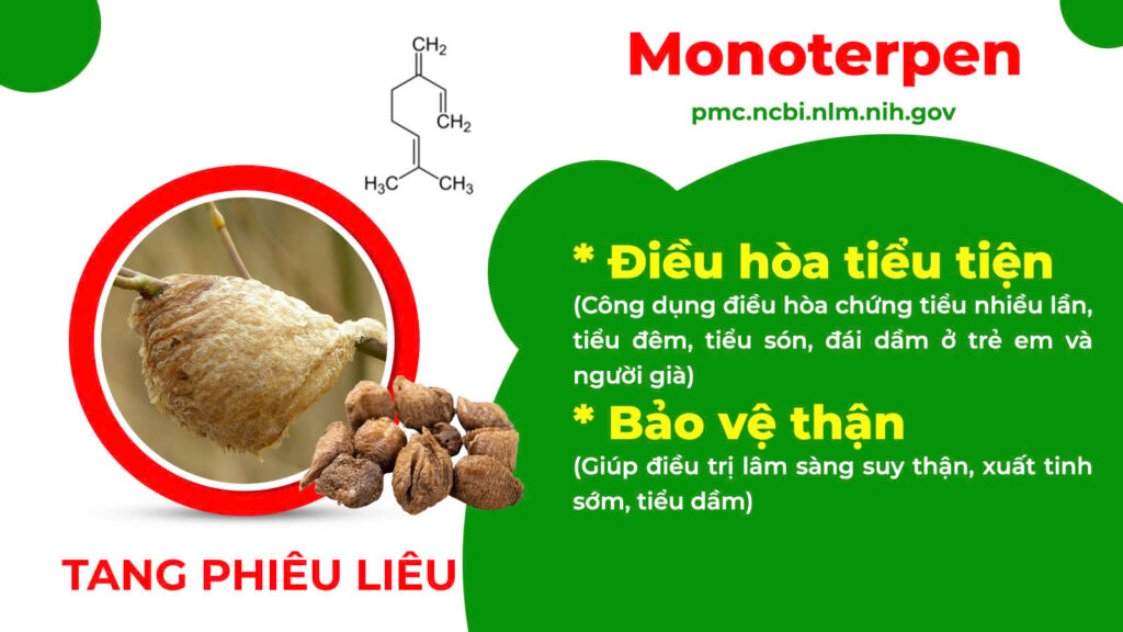 Thành phần hoá học ôn thận 