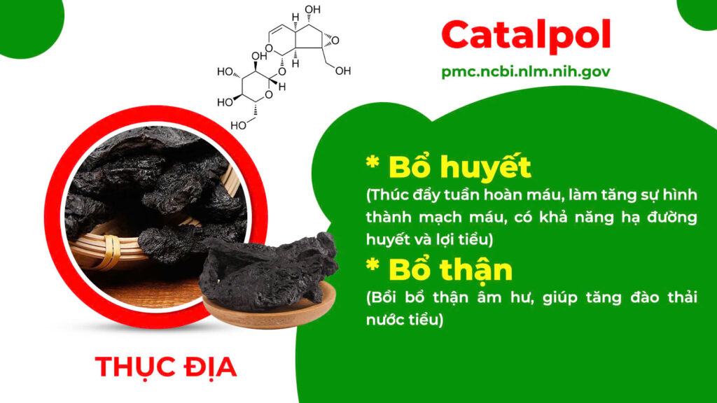 Thành phần hoá học ôn thận 