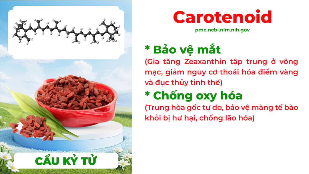 Thành phần hoá học sáng mắt 