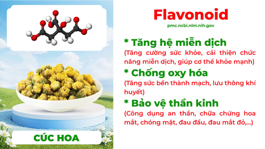 Thành phần hoá học sáng mắt 