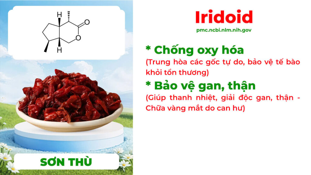 Thành phần hoá học sáng mắt 