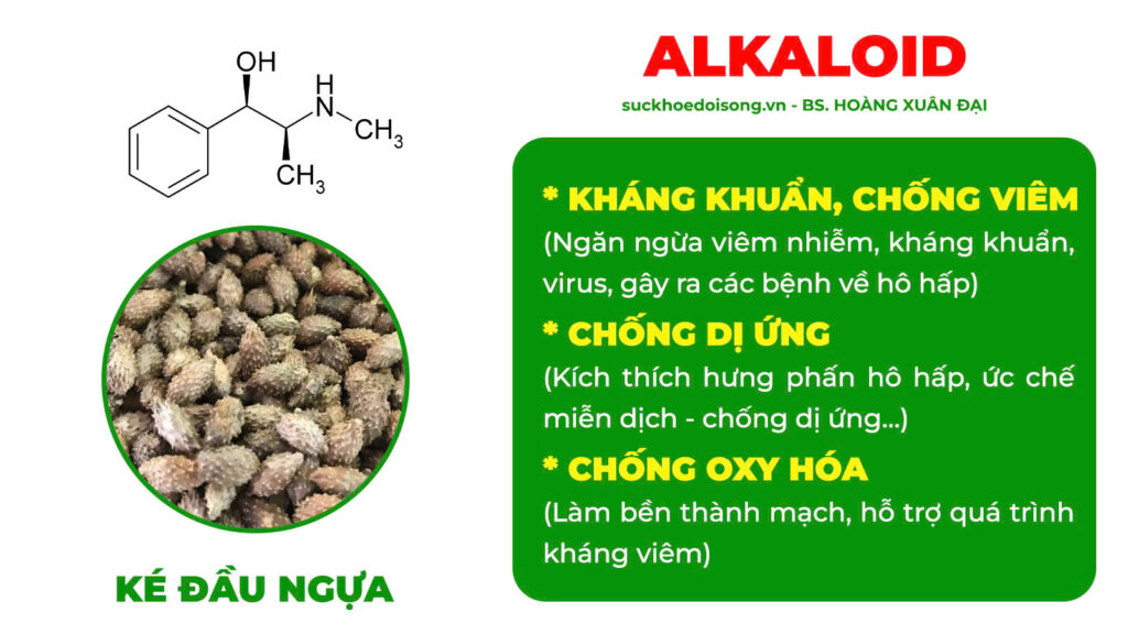 Thành phần hoá học viêm mũi dị ứng 