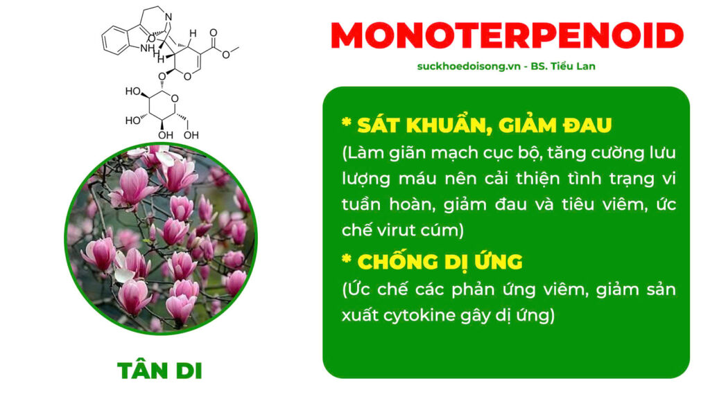 Thành phần hoá học viêm mũi dị ứng 