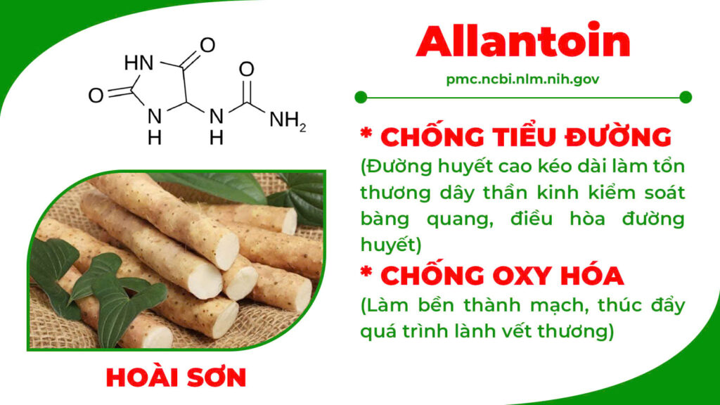 Thành phần hoá học xa tiền tử 