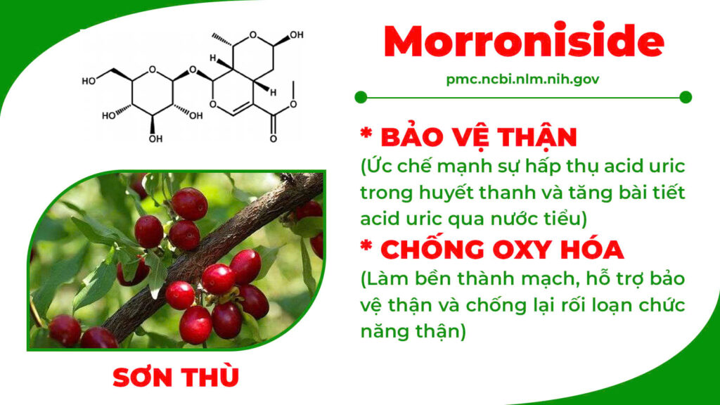 Thành phần hoá học xa tiền tử 