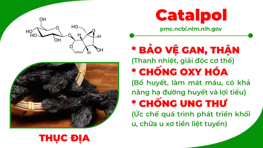 Thành phần hoá học xa tiền tử 