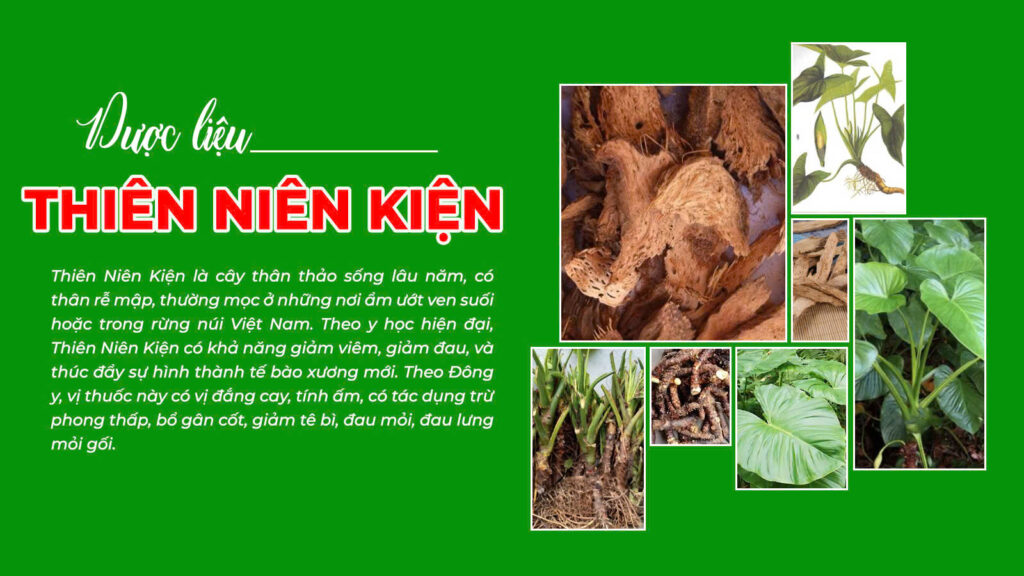Dược phẩm PQA