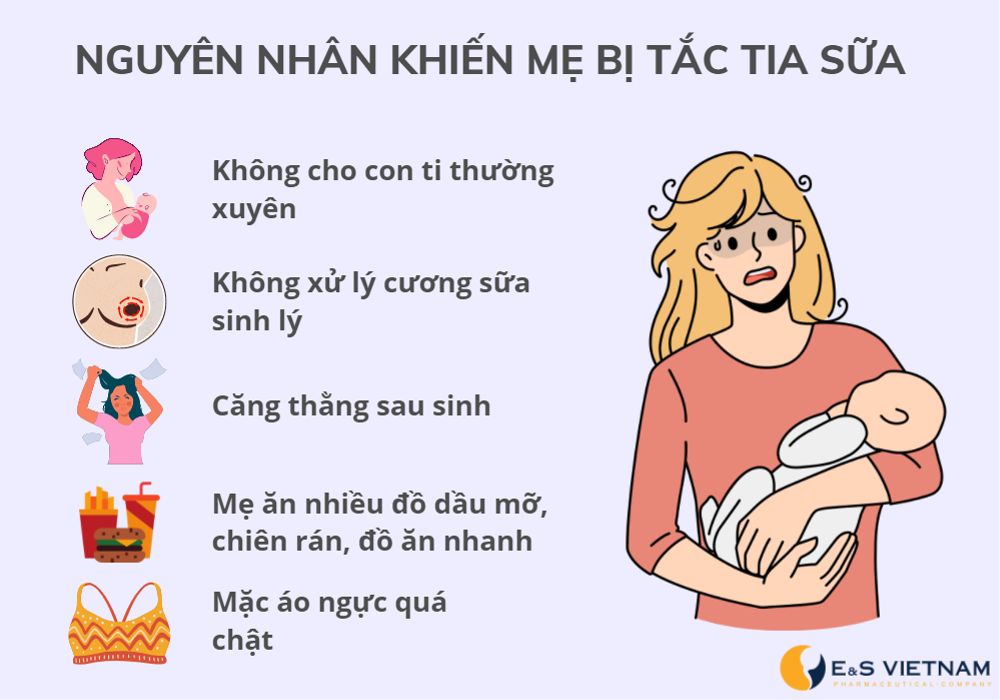  nguyên nhân gây nên mẹ bị ít sữa sau sinh 