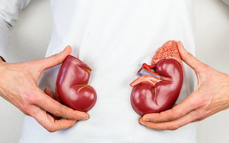 Phương pháp chăm sóc thận 