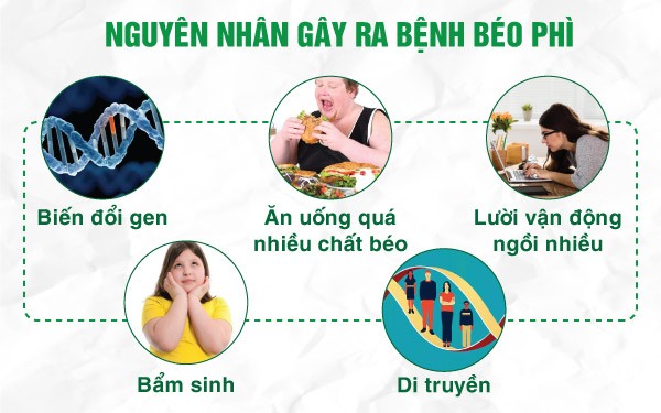 nguyên nhân gây nên béo phì
