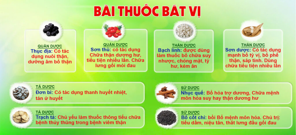 Bài thuốc bát vị