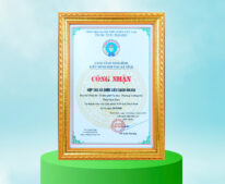 Chứng nhận hợp tác xã Dược liệu sạch