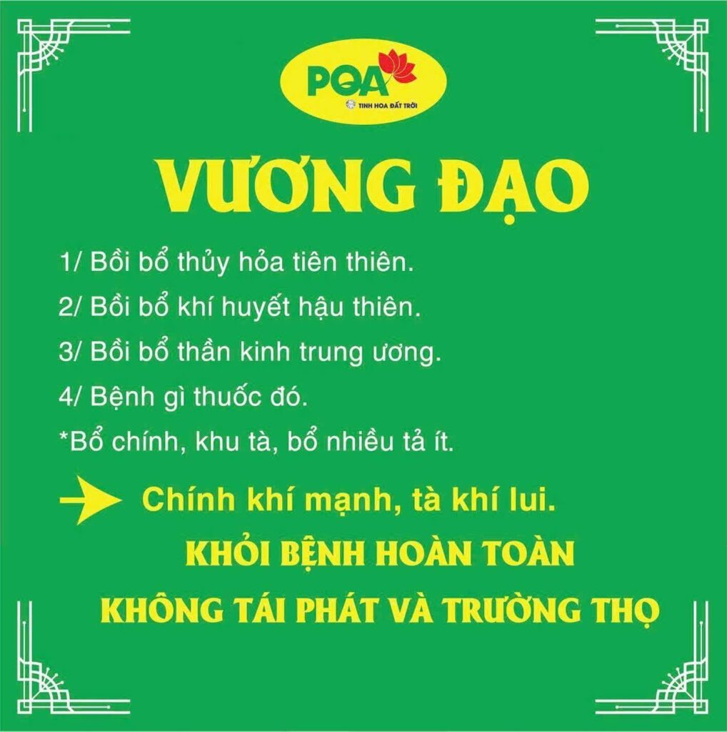 vương đạo 