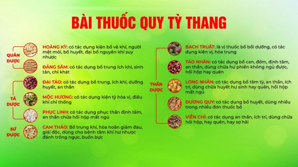 bài thuốc quy tỳ thang