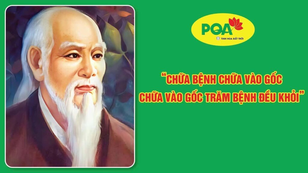 chữa bệnh chữa vào gốc