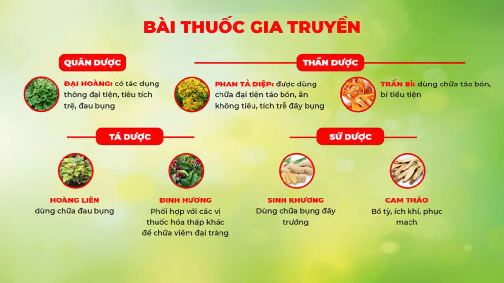Bài thuốc gia truyền nhuận tràng ống