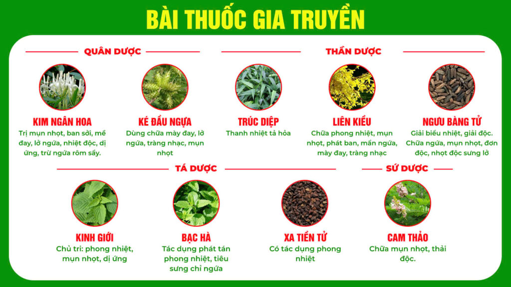 Bài thuốc gia truyền trúc diệp
