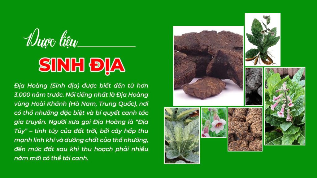 Câu chuyện sinh địa hoàng