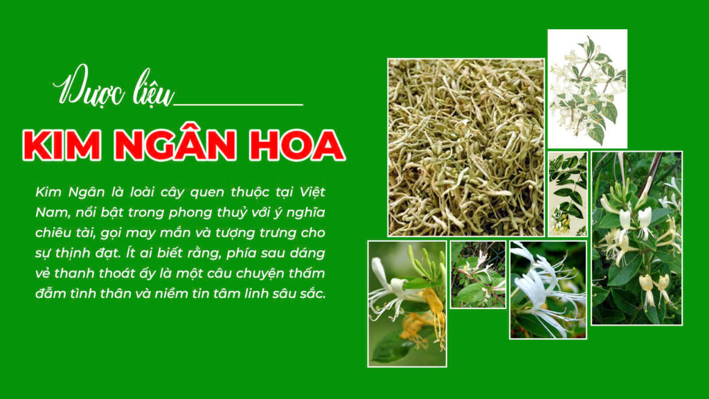 Câu chuyện trúc diệp