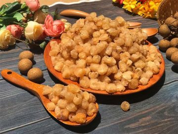 Dược liệu long nhãn 