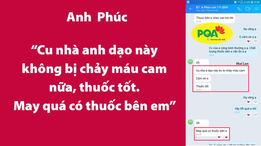 Feedback Sinh địa hoàng