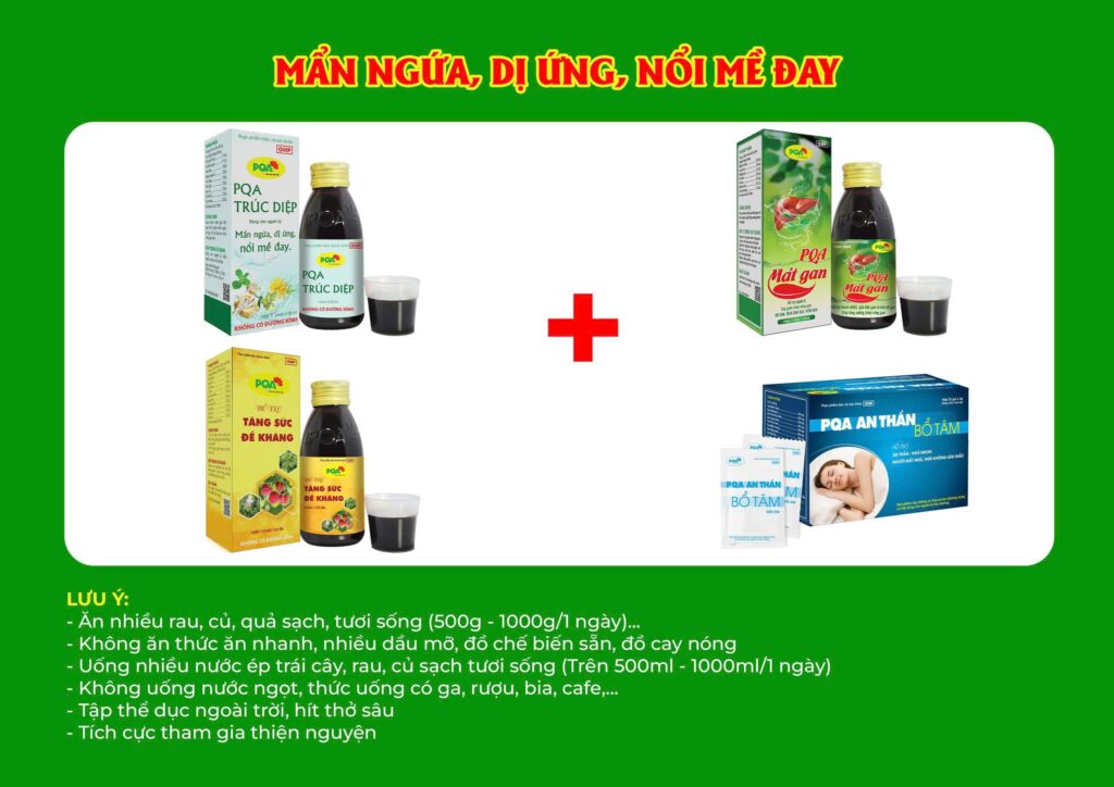 Kết hợp 4 sản phẩm trúc diệp
