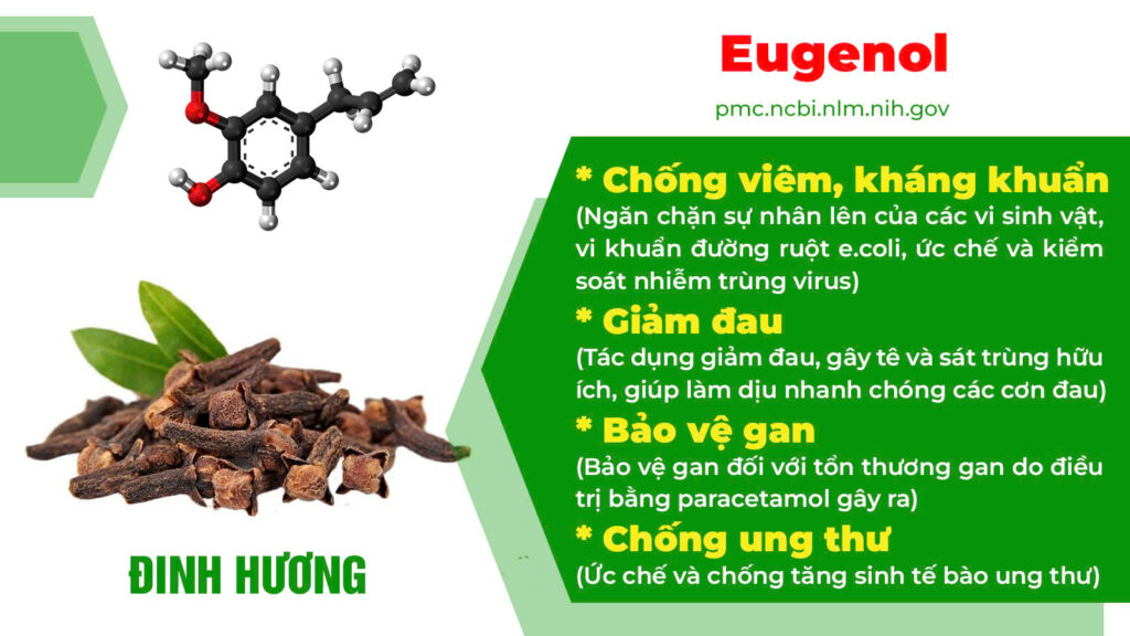 Thành phần hoá học Nhuận tràng ống 1