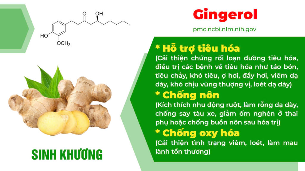 Thành phần hoá học Nhuận tràng ống 1