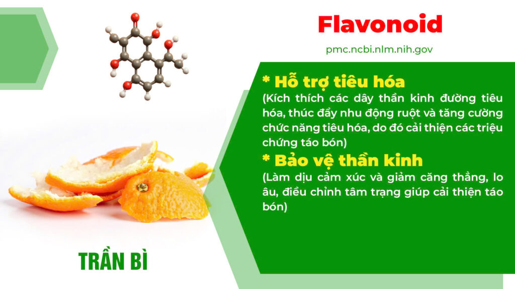 Thành phần hoá học Nhuận tràng ống 1