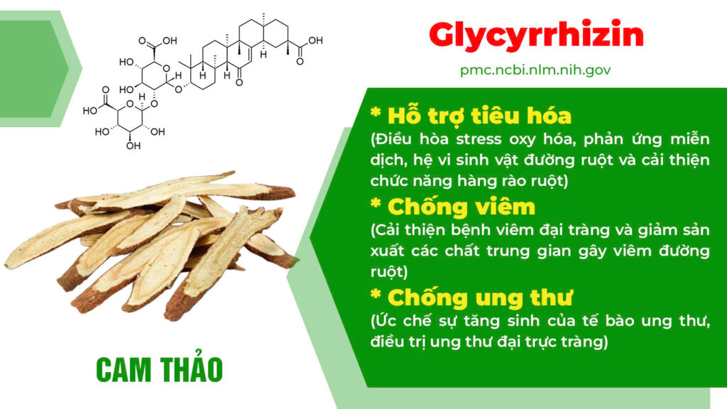 Thành phần hoá học Nhuận tràng ống 1