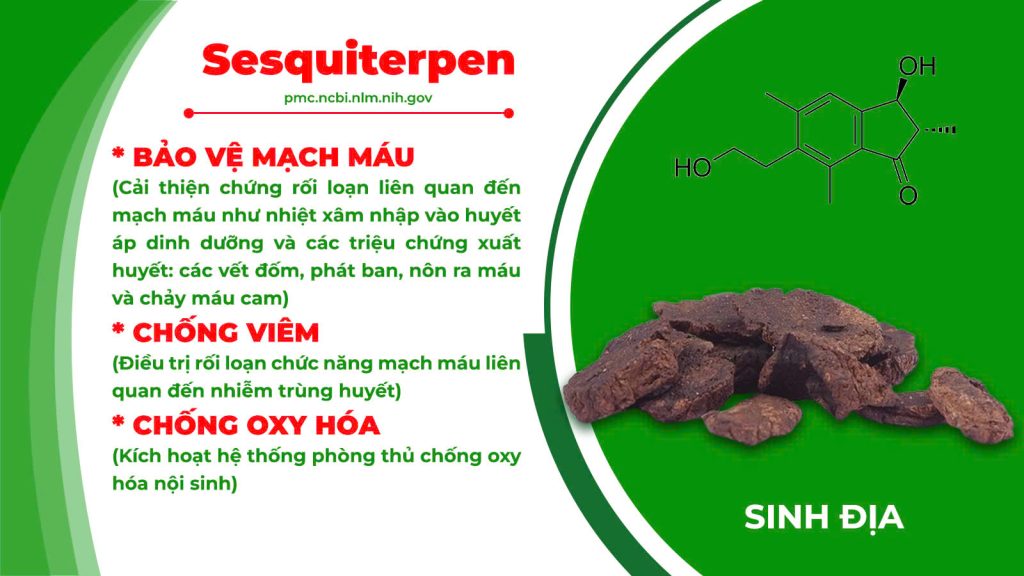 Thành phần hoá học sinh địa hoàng