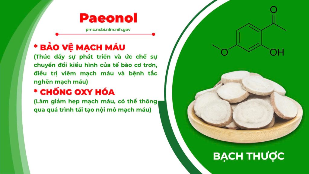 Thành phần hoá học sinh địa hoàng