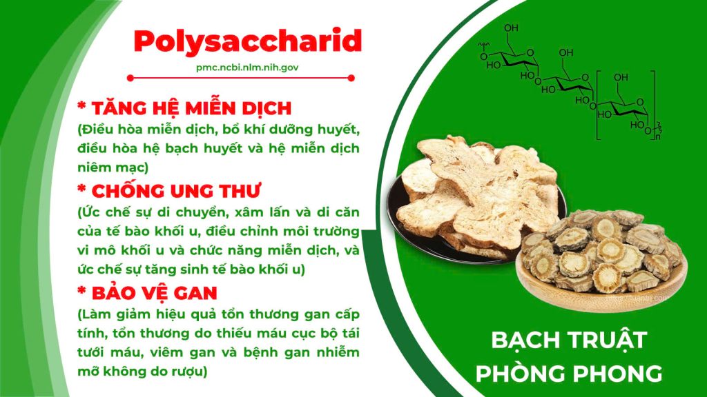 Thành phần hoá học sinh địa hoàng