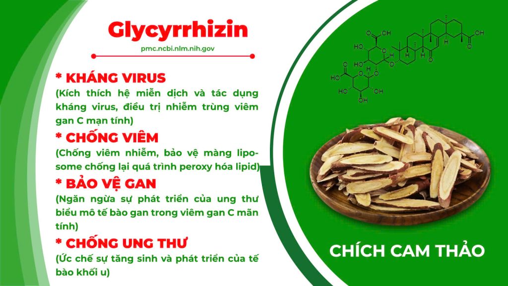 Thành phần hoá học sinh địa hoàng