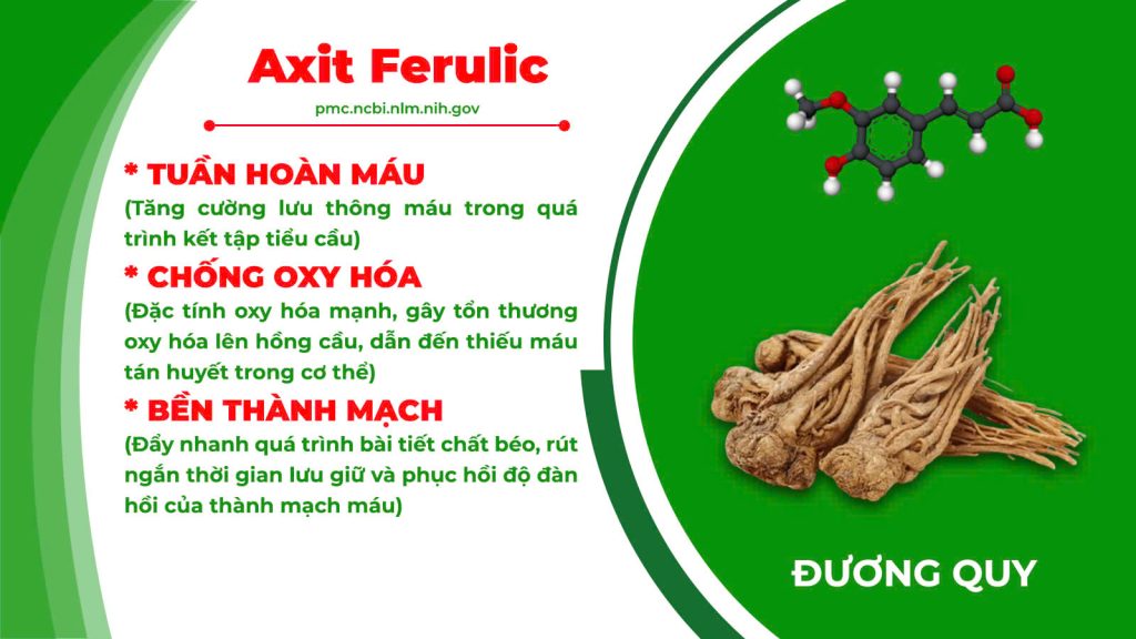 Thành phần hoá học sinh địa hoàng