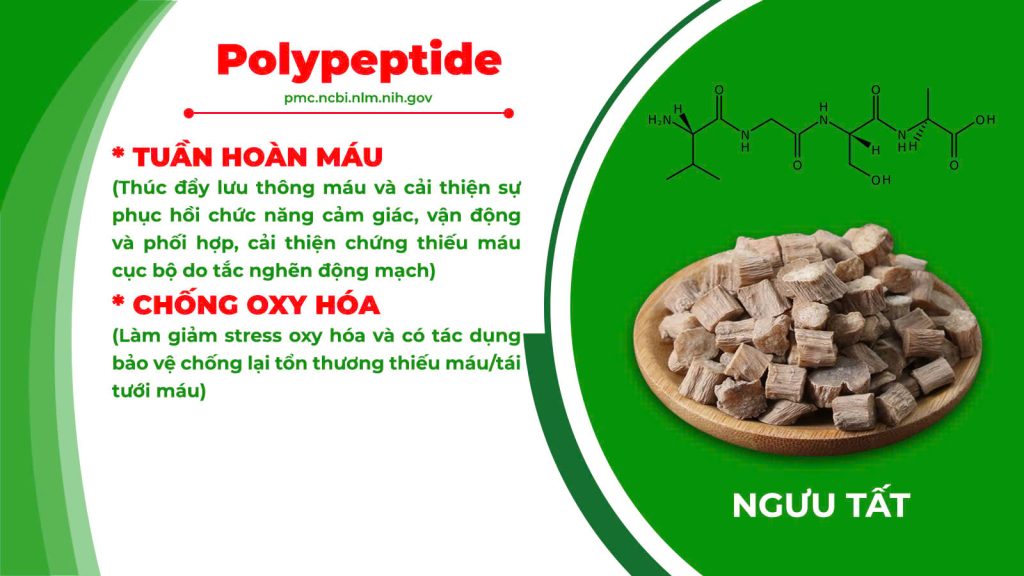 Thành phần hoá học sinh địa hoàng
