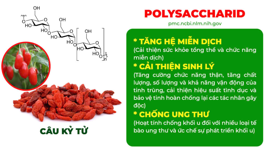 Thành phần hoá học thỏ ty tử