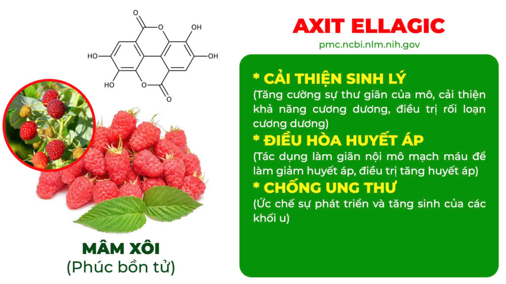 Thành phần hoá học thỏ ty tử