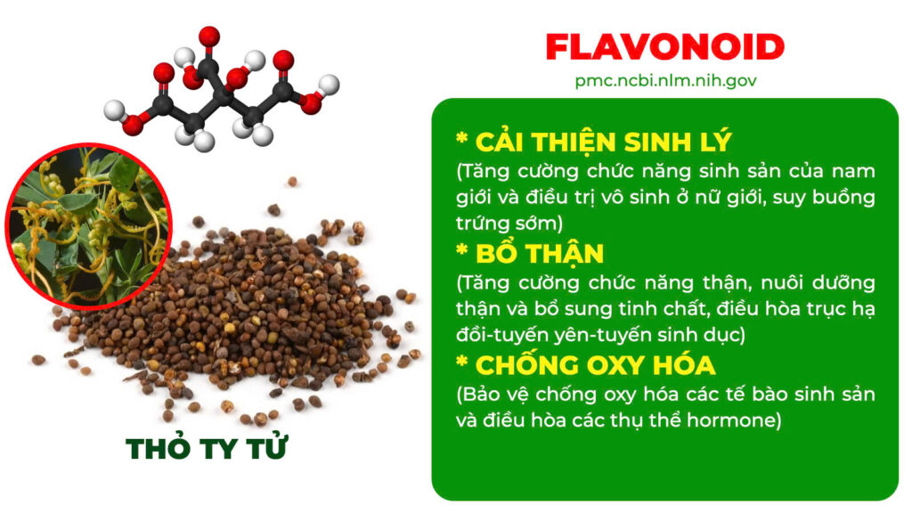 Thành phần hoá học thỏ ty tử