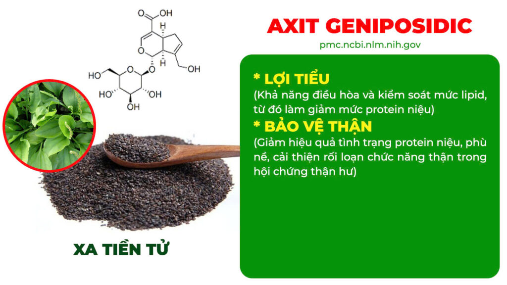 Thành phần hoá học thỏ ty tử